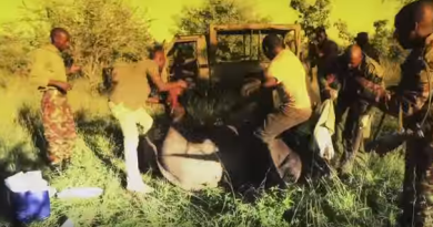 Incredible Rescue of Elephants From Hunting Snare & Spear Wound (VIDEO) Incredible Rescue of Elephants From Hunting Snare & Spear Wound (VIDEO)