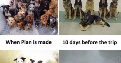 Funny Group Travel Pic Funny Group Travel Pic