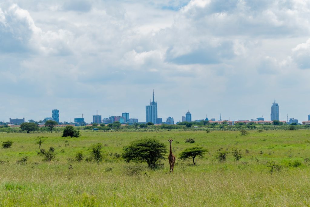 kenya uganda multi-country african safari