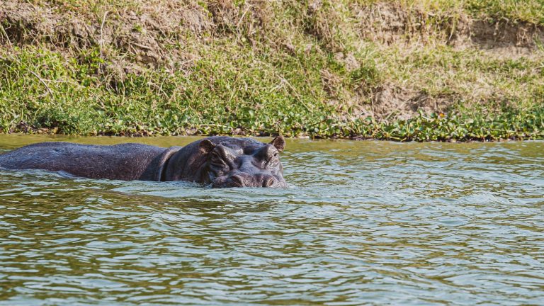 3 days queen elizabeth national park itinerary in Uganda