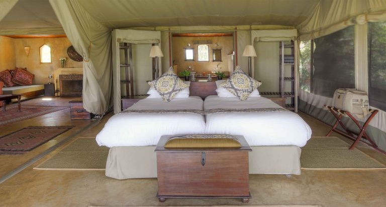 entomoto camp