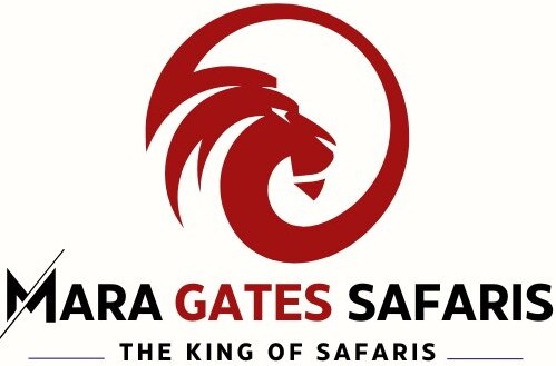 Masai Mara Safaris
