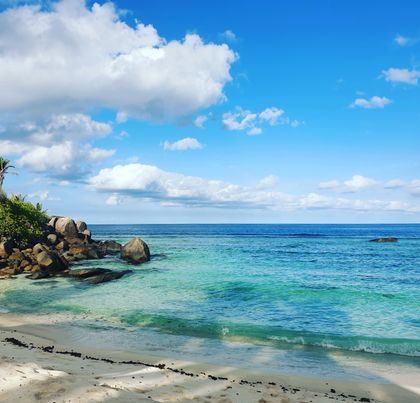 Seychelles safari destination
